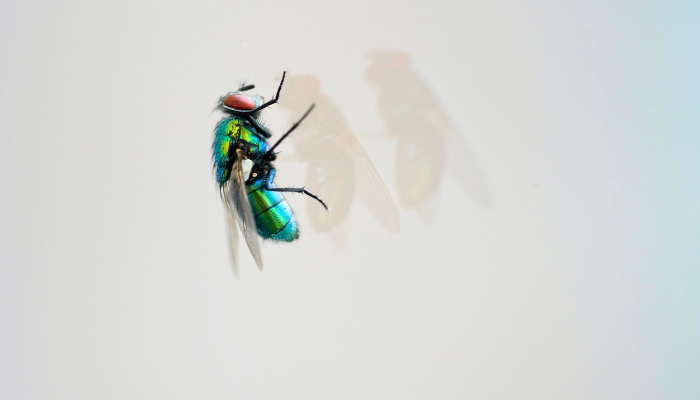 人民党竞选委员会联合主席呼吁对前部长的可疑离职做出“合理”解释 人民党竞选委员会联合主席呼吁对前部长的可疑离职做出“合理”解释