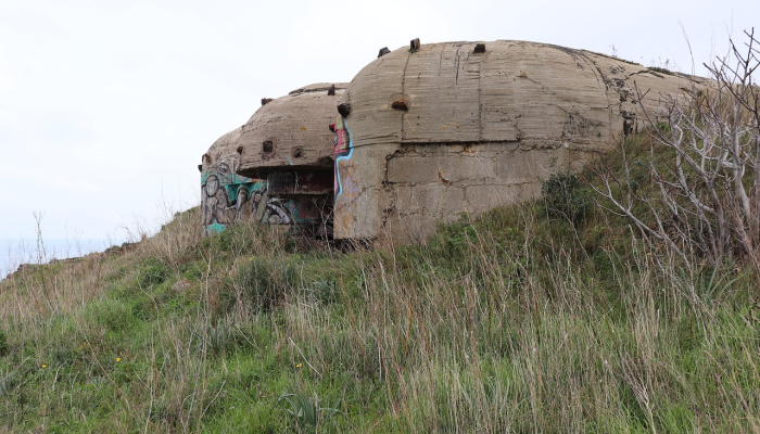 俄罗斯南部一座加油站发生爆炸，造成至少30人死亡