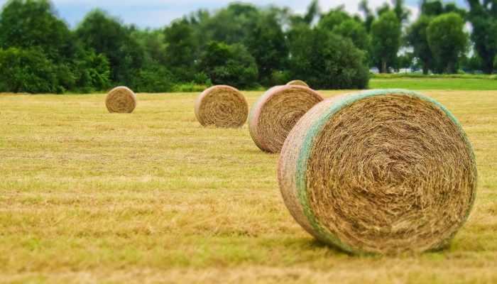 1分钟学会“心悦麻将有没有挂”开挂(透视)辅助教程 1分钟学会“心悦麻将有没有挂”开挂(透视)辅助教程