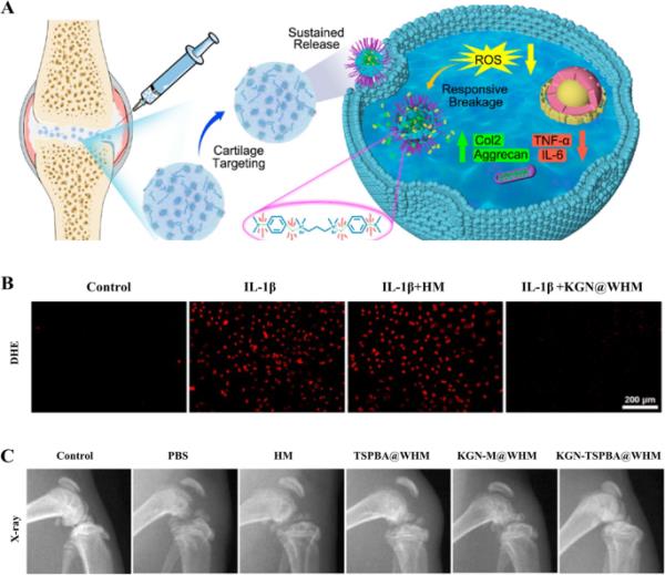 俄罗斯法院延长了对美国记者格什科维奇的拘留 俄罗斯法院延长了对美国记者格什科维奇的拘留