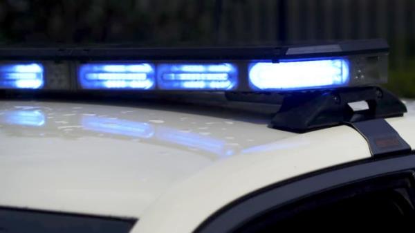 五角大楼警告部队，罂粟籽百吉饼可能导致药检不合格