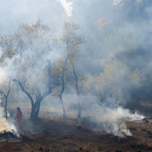 各县表示，联邦政府的许可阻碍了气候目标和减轻自然灾害