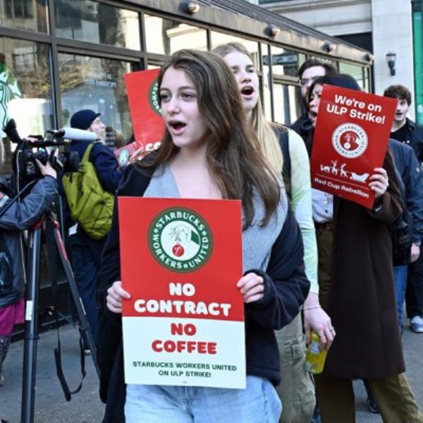 马尔科·席尔瓦支持亚历克斯·伊沃比在以2200万英镑从埃弗顿转会后为富勒姆带来重大影响