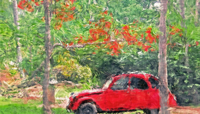 印度喜马偕尔邦洪水和山体滑坡造成的死亡人数上升 印度喜马偕尔邦洪水和山体滑坡造成的死亡人数上升