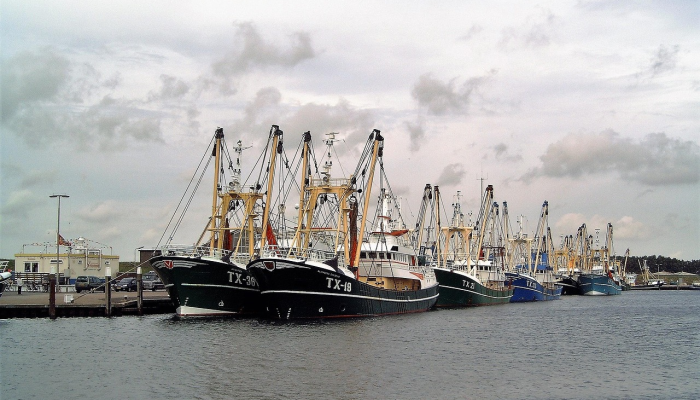 LPA将继续在PH - Pagasa部分地区广泛降雨 LPA将继续在PH - Pagasa部分地区广泛降雨