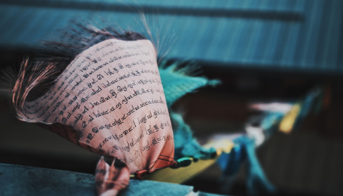 公麋鹿的鹿角缠在100英尺深的网里他获救后“轻多了”