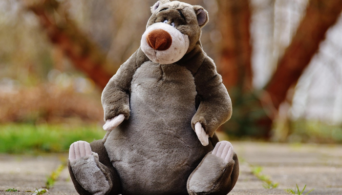 一名逃亡了一年的男子在迪士尼动物王国被一名特工发现后被捕