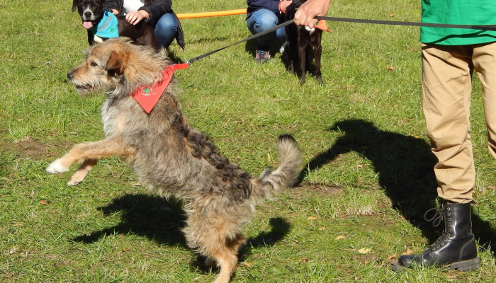 教程辅助!“大凉山生活号跑得快8张怎么开挂”其实确实有挂 教程辅助!“大凉山生活号跑得快8张怎么开挂”其实确实有挂