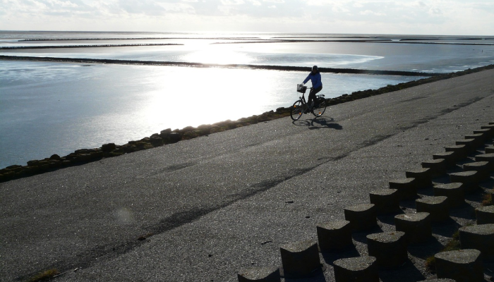 北达沃-布基德农公路只对轻型车辆开放 北达沃-布基德农公路只对轻型车辆开放