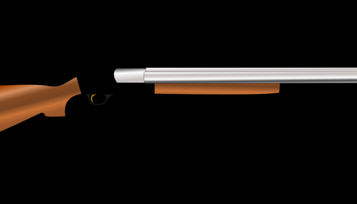 亨特·拜登不会在枪支案中作证;国防休息