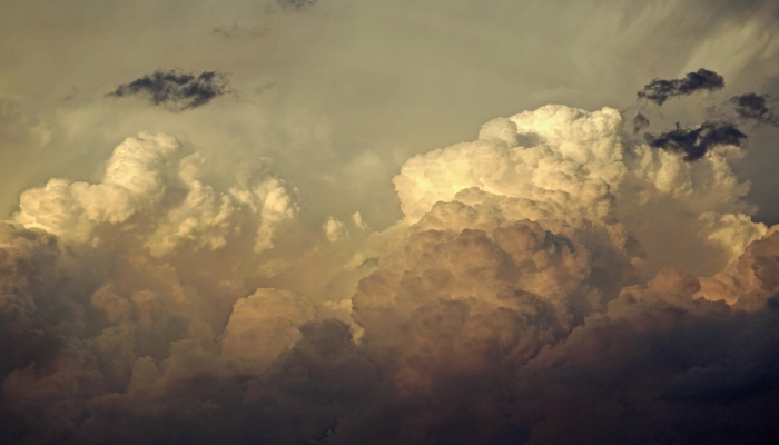 圣克拉拉队的球迷在战胜冈萨加队后冲进球场