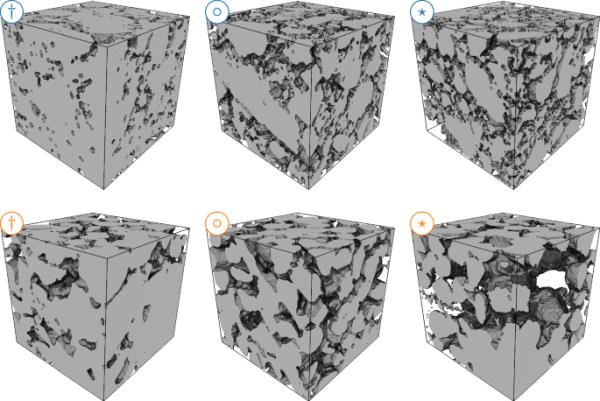 三维孔隙空间形态对壤土和砂土气体扩散影响的量化研究