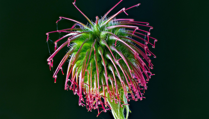 卡塔尔的创伤死亡率很低 卡塔尔的创伤死亡率很低