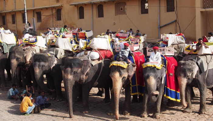 最新教你“丰城呱呱棋牌双剑摸奖规律”(曝光透视必备猫腻)