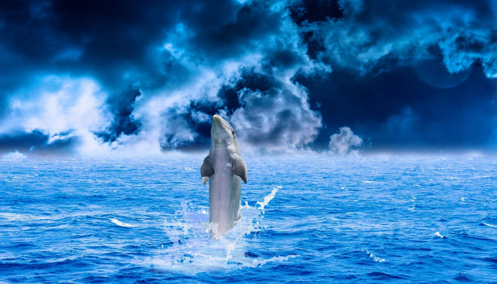 “不尊重”的艺术品将留在溺水现场附近 “不尊重”的艺术品将留在溺水现场附近