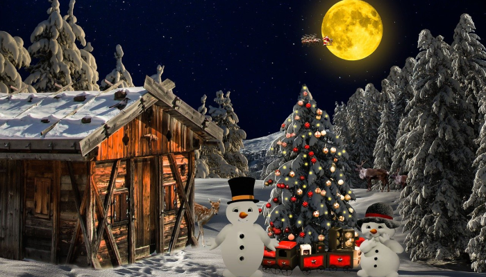 在加迪纳的家中发现非法烟花