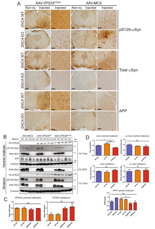 辅助神器“云景互娱有挂吗”详细开挂玩法 辅助神器“云景互娱有挂吗”详细开挂玩法