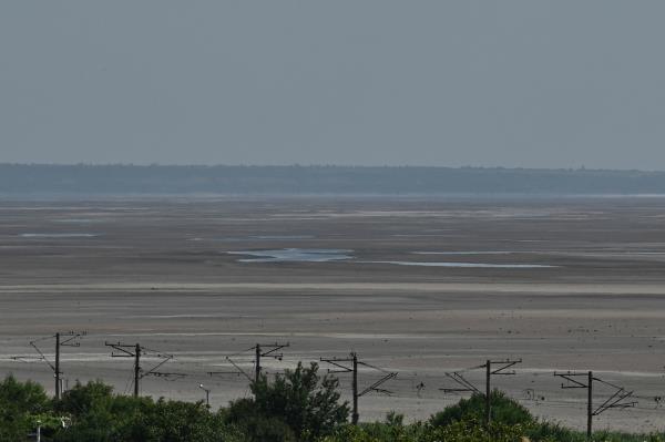 一名高级官员表示，乌克兰军队已经在南部站稳了脚跟