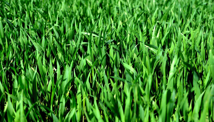 玩家必看教程“越乡麻将怎么开挂吗”分享用挂教程 玩家必看教程“越乡麻将怎么开挂吗”分享用挂教程