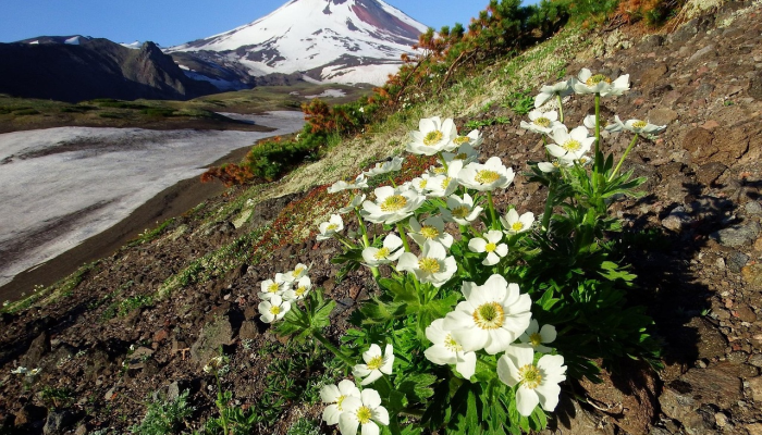 玩家必看教程“搜圈麻将怎么开挂”(曝光透视必备猫腻) 玩家必看教程“搜圈麻将怎么开挂”(曝光透视必备猫腻)