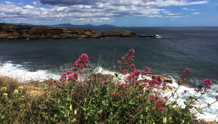 教程辅助!“微壳跑胡子可以开挂吗”其实确实有挂