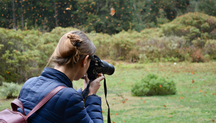 Fandango迎来了2024年最受期待电影的续集年 Fandango迎来了2024年最受期待电影的续集年
