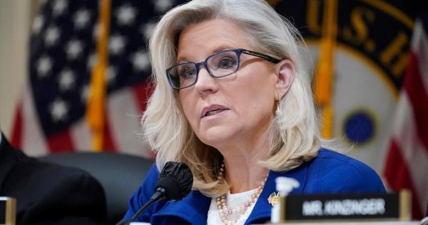 共和党切尼支持弗吉尼亚州民主党人阿比盖尔·斯潘伯格