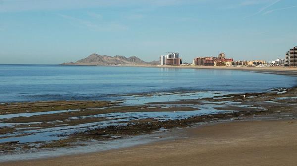 玩家辅助神器：“科乐麻将开挂神器”开挂(透视)辅助教程