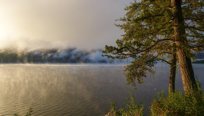 加拿大天气预报：寒冷，预计会下雪