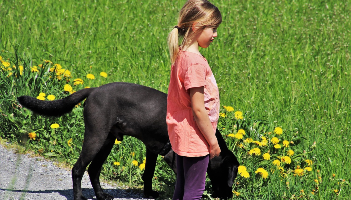 佩洛西嘲笑特朗普,称他在法庭上看起来像“受惊的小狗” 佩洛西嘲笑特朗普,称他在法庭上看起来像“受惊的小狗”