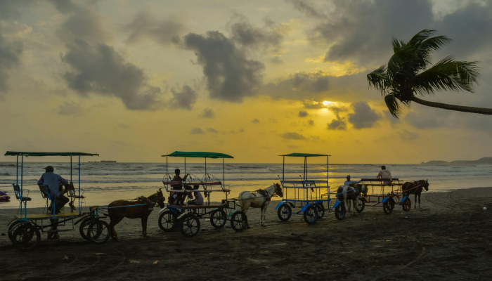 辅助神器“甘肃掀牛九的技巧”详细开挂玩法 辅助神器“甘肃掀牛九的技巧”详细开挂玩法