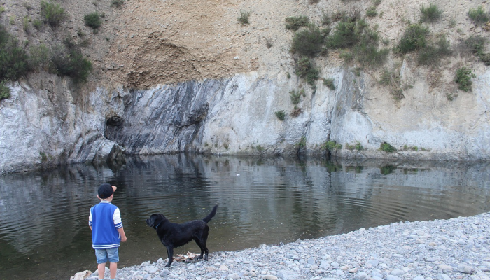为聪明的买家提供间歇泉价格比较：从8个最佳家庭选择中选择