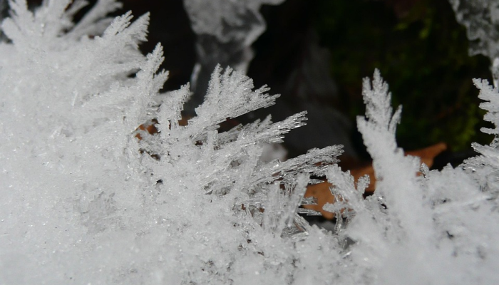 Rebel Moon Pitch会议