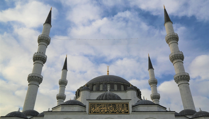 印度人民党要求讨论被监禁的部长停职问题,并要求退出议会 印度人民党要求讨论被监禁的部长停职问题,并要求退出议会