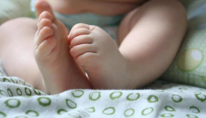 辅助神器“鑫豪天地小九如何开挂!详细分享装挂步骤