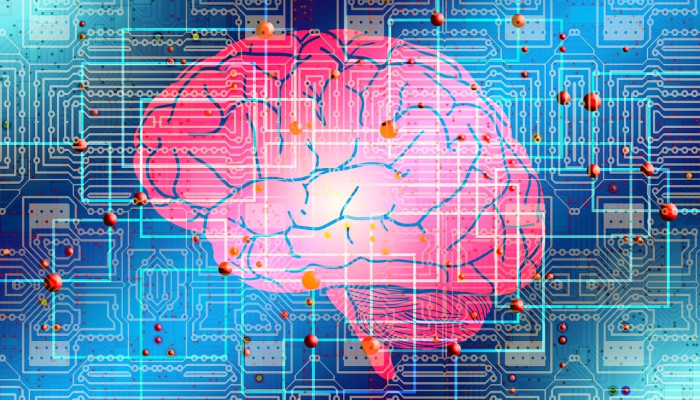 QNA获得人工智能创新奖 QNA获得人工智能创新奖