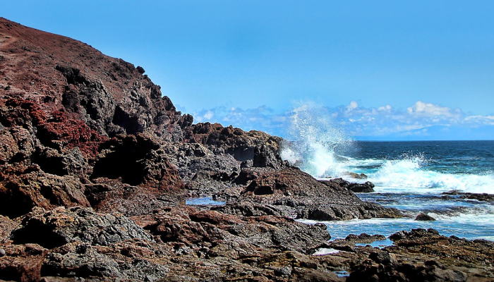 14岁的冲浪女孩在度假时突发心脏病去世,加州父亲说 14岁的冲浪女孩在度假时突发心脏病去世,加州父亲说