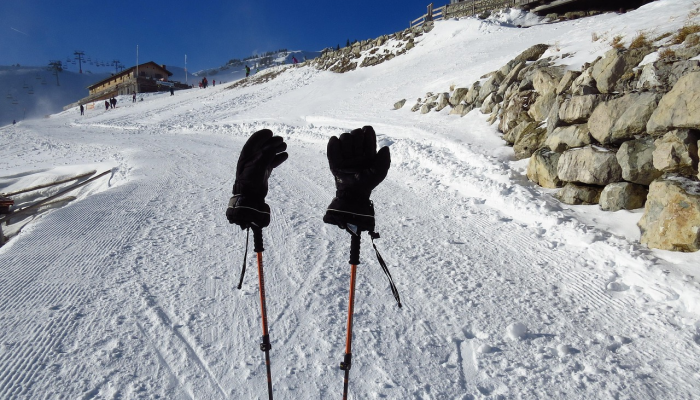 人民院投票：中央委员会和选举委员会将于1月8日访问安得拉邦，审查准备工作