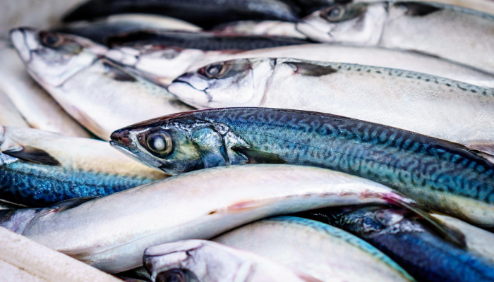 辅助神器“双盈休闲开挂!详细分享装挂步骤 辅助神器“双盈休闲开挂!详细分享装挂步骤