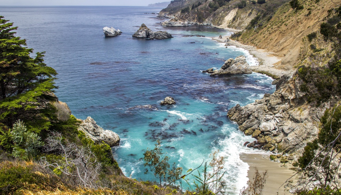 400磅重的海洋生物被困在开曼岛海滩上然后加州的一个家庭来了 400磅重的海洋生物被困在开曼岛海滩上然后加州的一个家庭来了