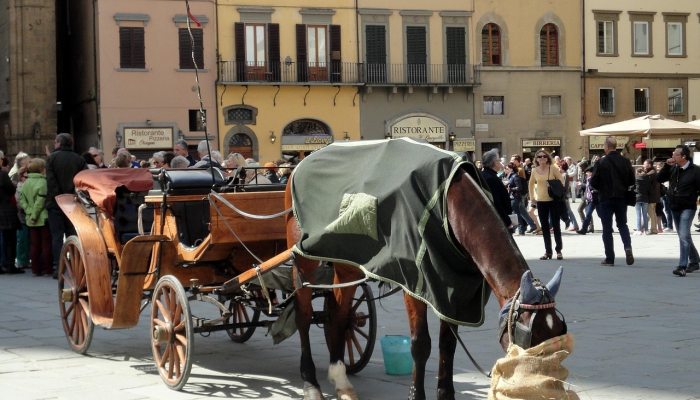教程辅助!“衢州都莱有挂吗”(原来确实是有挂) 教程辅助!“衢州都莱有挂吗”(原来确实是有挂)