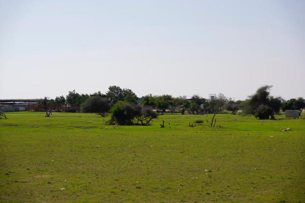 辅助神器“新棋联盟有挂吗”详细开挂玩法 辅助神器“新棋联盟有挂吗”详细开挂玩法