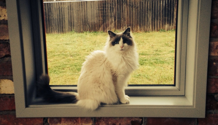 辅助神器“呼包鄂麻将有挂吗”开挂(透视)辅助教程