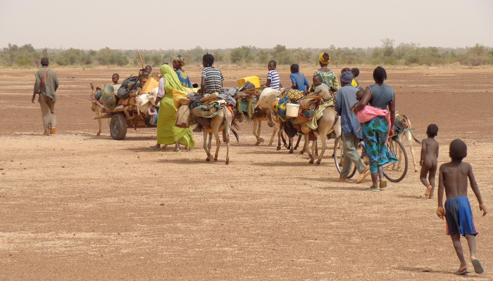 开挂辅助工具“微乐跑得快开挂神器”其实确实有挂