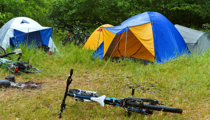 “绿色帐篷”计划于星期三展开 “绿色帐篷”计划于星期三展开