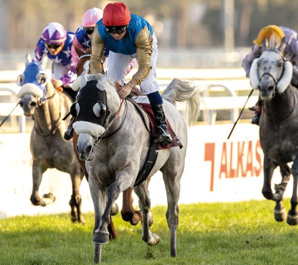 辅助神器“欢聚水鱼挂先试后买”开挂(透视)辅助教程 辅助神器“欢聚水鱼挂先试后买”开挂(透视)辅助教程