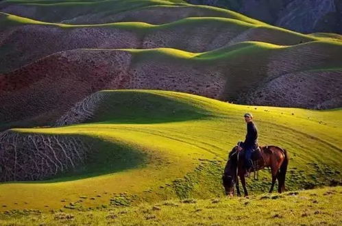 实测辅助“牵手跑得快如何刷好牌!分享用挂教程