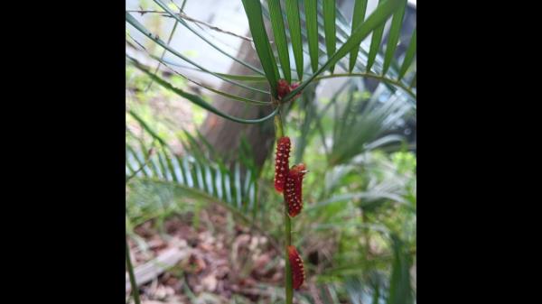 万能开挂辅助“丽水跑得快麻将软件如何开挂!详细分享装挂步骤