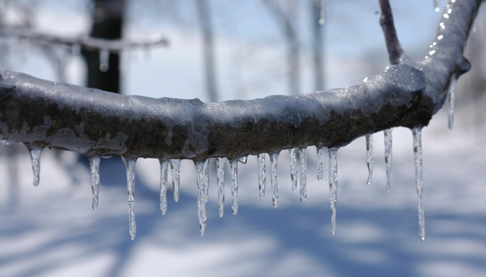 随着冬季风暴加剧,南加州迎来了罕见的降雪 随着冬季风暴加剧,南加州迎来了罕见的降雪