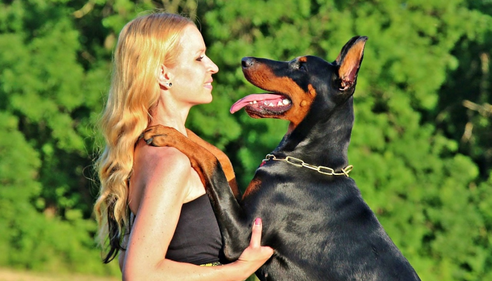 食物vs玩具——科学家揭示狗狗真正喜欢什么 食物vs玩具——科学家揭示狗狗真正喜欢什么